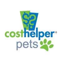 Cost of Dog Pancreatitis Treatment - Pets and Pet Care - CostHelper